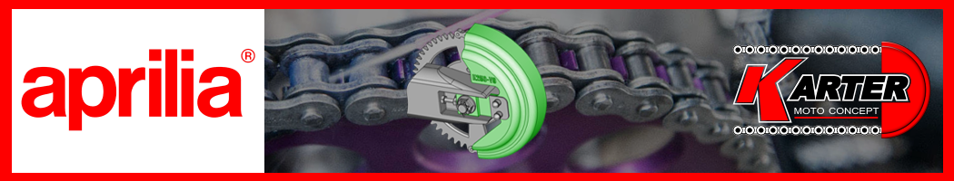 CARTER DE CHAINE POUR APRILIA DORSODURO 900