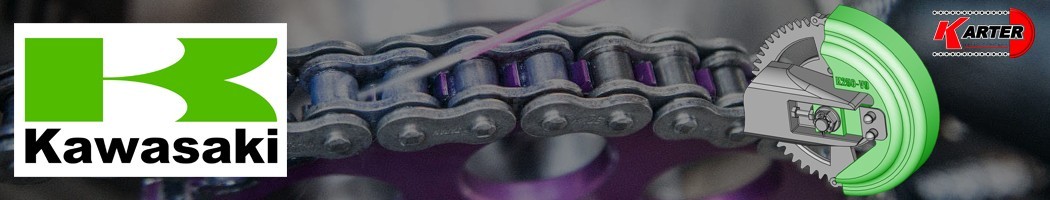 Carter de chaine moto pour Kawasaki ZX-10R