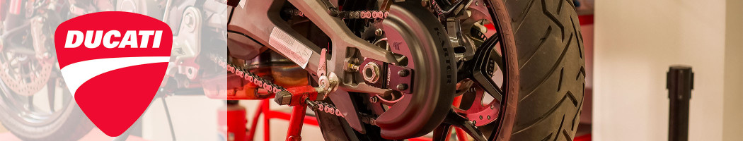 Carter de chaine pour Ducati Multistrada V4 Rally